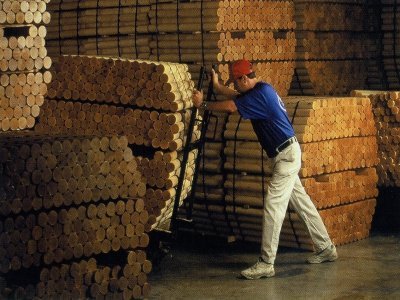 INDUSTRIA MADERA 001  IMAGENES FOTOS